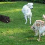 Samen spelen.