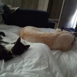 Wakker worden met de beestjes.