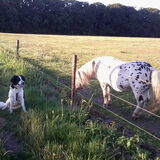 Foto van Angelique; Bruno, Charlie & Fenna