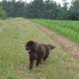 Foto van Jeanine :)