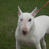 Stoere maar oh zo lieve meid