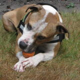 Foto van Gwenn