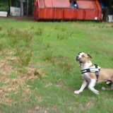 Foto van Gwenn