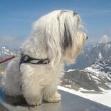 I'm on top op the world :-)