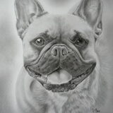 Opdracht! Potret van bailey finished!