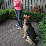 Foto van Inge & Danger