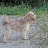 Foto van lesly