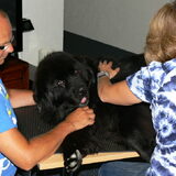 Nina 1ste keer borstelen