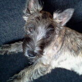I'm a cutie, aren't I?