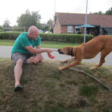 Foto van Anne-Wil (baasje van Juno)
