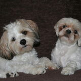 Sammy en Deva