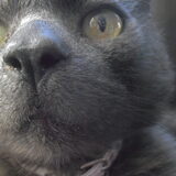 Foto van tessa