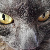Foto van tessa