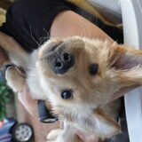 Foto van Melany en Teddy