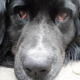 Foto van tessa
