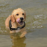 Foto van Melany en Teddy