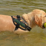 Foto van Melany en Teddy