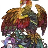 Een Phoenix, getekend met een balpen en ingekleurd met waterverf. Voor…