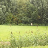 Foto van team Shadow