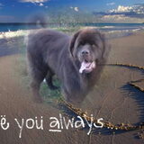 Foto van Jeanine :)