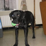 Foto van XiBa met Prince