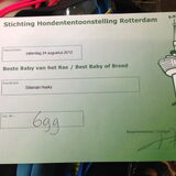Best of breed baby Rotterdam 24/8/2013