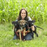 Ja hoor, ook pups komen in asielen terecht :'(