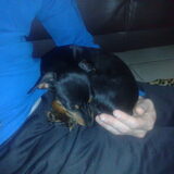 Foto van Veronique & Spike