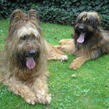 Samen vormen we een goed stel