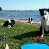 Foto van Inge, baasje van Sasha en Myra <3