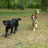 Shadow en Eros