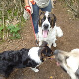 Luna,Faith en Diesel