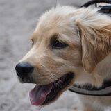 Foto van Melany en Teddy
