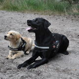 Foto van Melany en Teddy