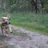 Foto van Melany en Teddy