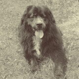 Foto van tessa