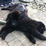 Soms is het Izzy-Monster lief voor mama..