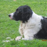 Foto van YmY en de bende