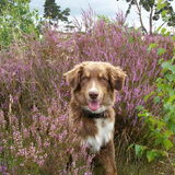 5 maanden oud