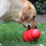 Met de Kong's Wobbler aan het spelen, blijft leuk!