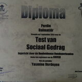 Perdie is geslaagd voor de sociale test!!