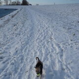 In de sneeuw met haar balletje