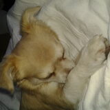 Onze kleine Sammy.... :)