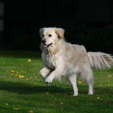 mooie Flow actie foto!!!! www.infoleo.nl