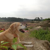 Wandeling met vriendjes