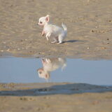 Genieten op het strand