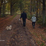 Turbo en Luna lopen vast vooruit samen met mijn man en zoon.