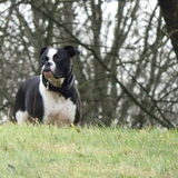 Foto van debby
