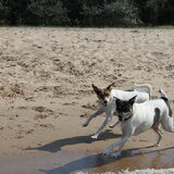 Foto van Sanne & Denise, Fanny, Vita