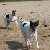 Foto van Sanne & Denise, Fanny, Vita